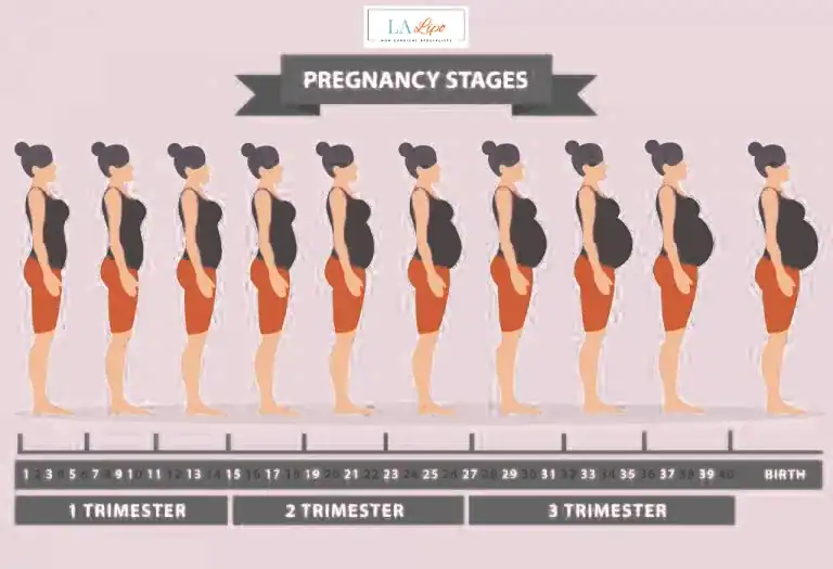 First Trimester (Weeks 1–12): Early Changes You Might Not Notice Biggleswade